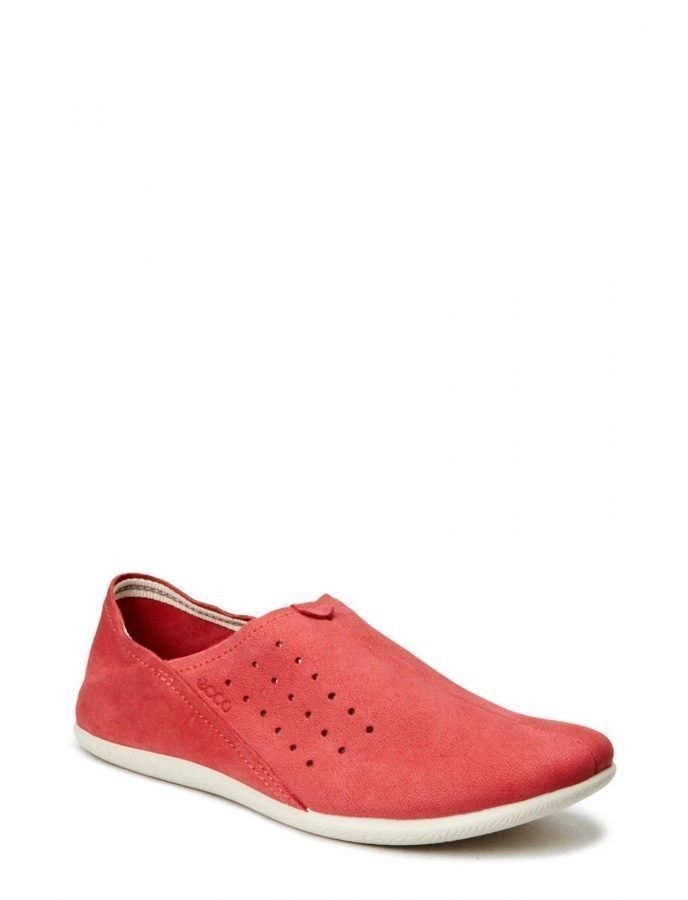 ecco easy l
